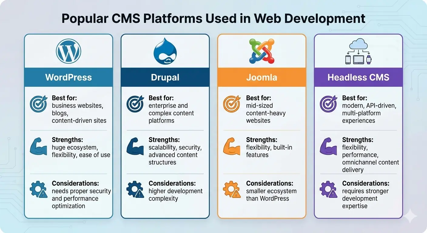 Popular CMS Platforms Used in Web Development